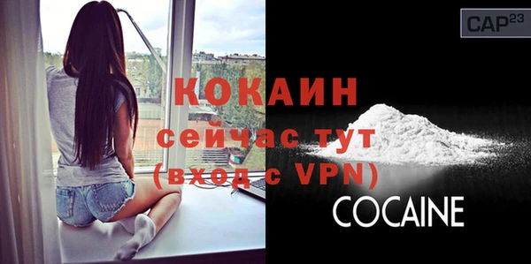 прущие крисы Каменка