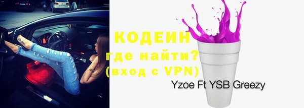 прущие грибы Карпинск