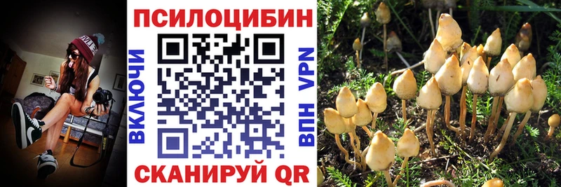 цены наркотик  мега вход  Псилоцибиновые грибы GOLDEN TEACHER  Арзамас 